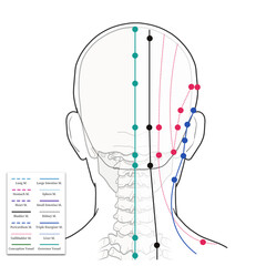 머리와 얼굴 경혈 혈자리 설명 일러스트