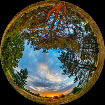 Sunrise in the countryside with coniferous trees pine trees. HDR photo in fulldom format taken through a circular fisheye lens. Wide angle of view 180 degrees