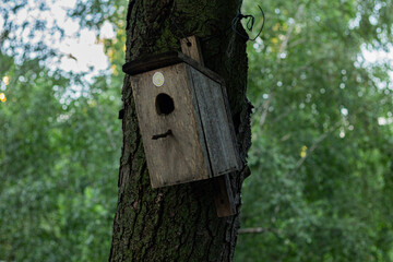 A rustic wooden birdhouse is securely attached to a tree trunk with wires, surrounded by lush green foliage, creating a natural and serene environment.
