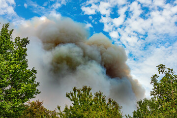 Heavy smoke rises into the sky from a forest fire. Natural disaster in rural areas on a summer day. Deciduous trees and sky with clouds