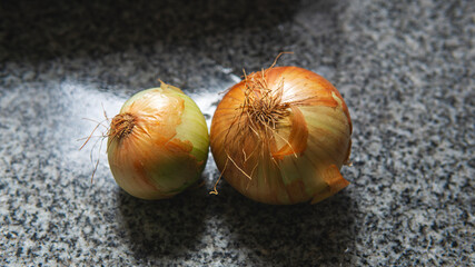 Close view of two organic onions on top of a kitchen counter