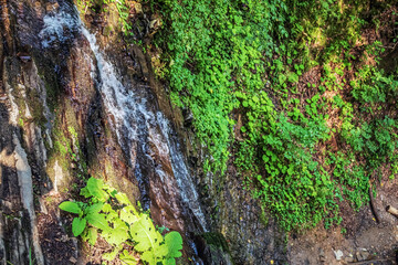 Cascada Bursuc, Putna 727455  -  Europe, Romania, Suchav region 