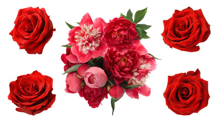 Obraz premium Beautiful roses and composition of flowers isolated on white