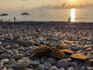 Pieces of black bread scattered on the beach. Against the background of the sunset. Trash and...