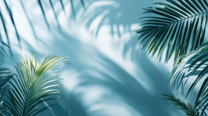 Obraz premium Serene Blue Wall with Delicate Palm Leaf Shadows for Spring and Summer Product Displays