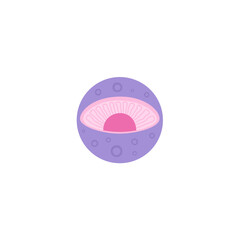 Cell Nucleus illustration