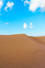 Vast desert with rolling orange dunes, displaying stunning natural patterns shaped by the wind.
