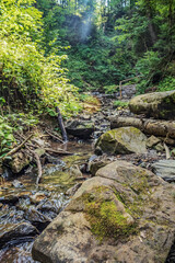 Cascada Bursuc, Putna 727455  -  Europe, Romania, Suchav region 