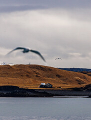 iceland lanscapes