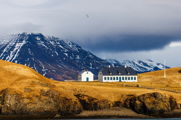 landscape in the mountains