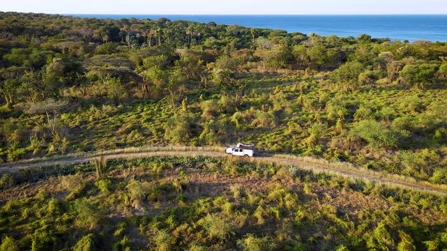 a white campervan passes through the middle of the grassland with mountains and sea in the background, baluran national park east java, indonesia