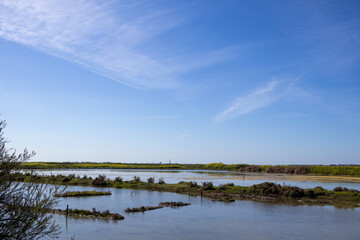 landscape with a river in the country