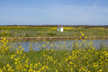 landscape with a river in the country