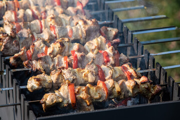 Shish kebab on skewers, grilled