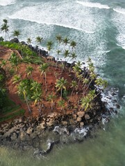 Stunning aerial view of Mirissa, Sri Lanka: a tropical paradise with palm-fringed beaches, vibrant blue waters, and picturesque coastline under clear, sunny skies.