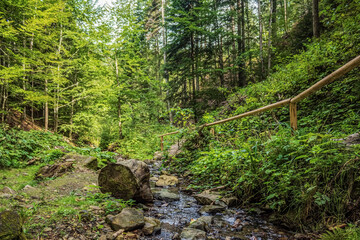 Cascada Bursuc, Putna 727455  -  Europe, Romania, Suchav region 