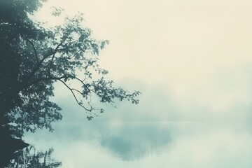 Silhouetted Tree Branch Over Foggy Lake
