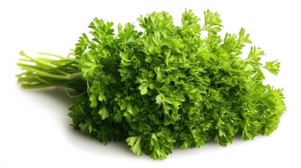 Fresh Parsley Bunch Isolated on White Background with Crisp Detail and Soft Blurred Background - High Resolution Stock Photo