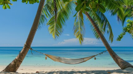 Fototapeta premium Tranquil Beach Hammock Between Palm Trees