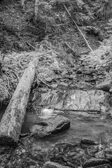 Cascada Bursuc, Putna 727455  -  Europe, Romania, Suchav region 