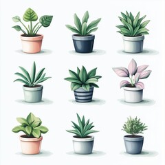 A series of cute illustrated houseplants potted plants 