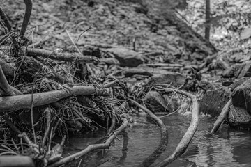 Cascada Bursuc, Putna 727455  -  Europe, Romania, Suchav region 