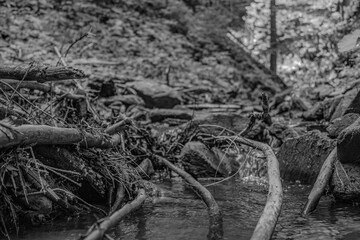 Cascada Bursuc, Putna 727455  -  Europe, Romania, Suchav region 