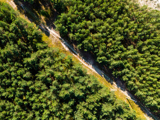Las widoczny z lotu ptaka. Widok z drona © hunter76