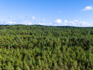 Zdjęcie lotnicze plaży nad morzem. Mierzeja Wiślana nad morzem Bałtyckim © hunter76