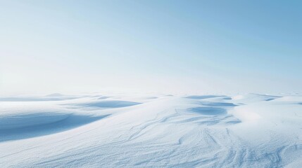 A vast tundra landscape covered in a blanket of snow, with a pale blue sky stretching overhead