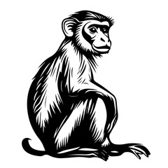 Monkey Vector