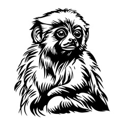 Monkey Vector