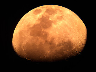 Luna © Steve Fossiant