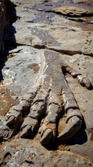 A beach image shows rock formation resembling intertwined hands, symbolizing support and unity. Landscape hints at nature's force and artistry.