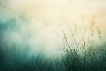 Grass Stalks Silhouetted Against a Misty Sky