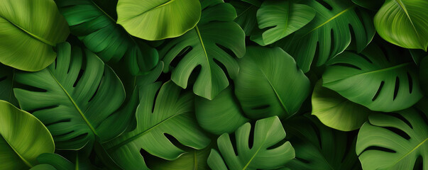Explore lush green tropical leaves captured in a vintage filtered style, perfect for enhancing decor or adding a touch of nature to your projects.