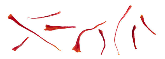 Saffron Threads set on transparent png background