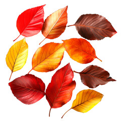Obraz premium Assorted Autumn Leaves in Shades of Red, Yellow, and Brown Isolated on White Background for Seasonal Decoration, Cutout, Isolated on White Background