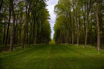 path in the park