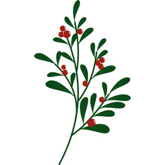 Christmas Festive Holly Plant
