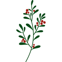 Christmas Festive Holly Plant
