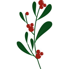 Christmas Festive Holly Plant
