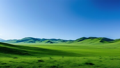 On the vast green grassland, the rolling hills and the clear blue sky complement each other, showing a peaceful and beautiful natural scenery.