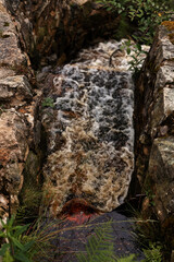 Sandy shore of the lake. Beautiful nature with a lake near the forest.A lake