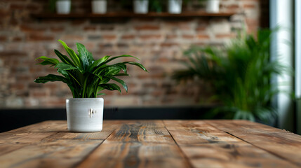 Interior Design Decorating Business Meeting Room