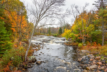 Fototapeta premium Waterfall and rapids on a river with forested banks at the peak of autumn colours
