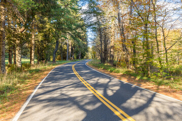 Fototapeta premium Empty winding country road running through a forested landscape on a sunny autmn day