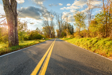 Deserted straight stretch of a country road lined with deciduous trees at sunset in autumn