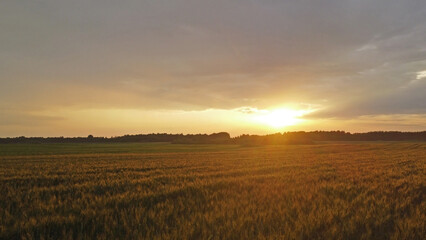 Sunset over the fields. Landscape in eastern Lithuania from the drone..