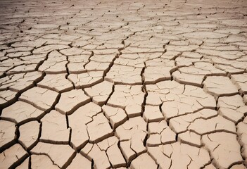 Dry cracked soil texture under sunny sky.